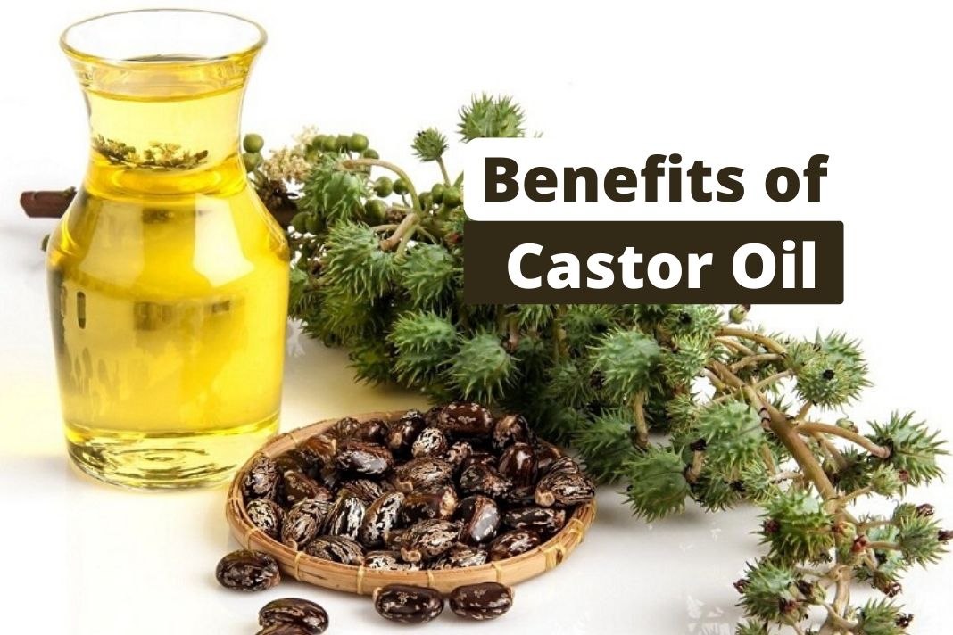 Amazing Benefits Of Castor Oil And It s Uses Go Lifestyle Wiki